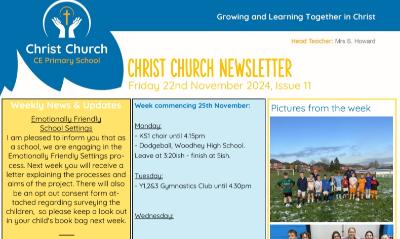 Weekly Newsletter Issue 11